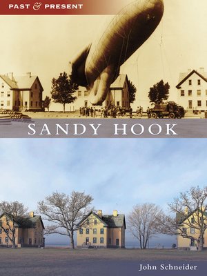 cover image of Sandy Hook